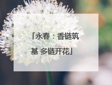 永春：香链筑基 多链开花