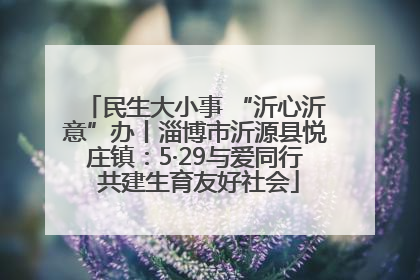 民生大小事 “沂心沂意”办丨淄博市沂源县悦庄镇：5·29与爱同行 共建生育友好社会