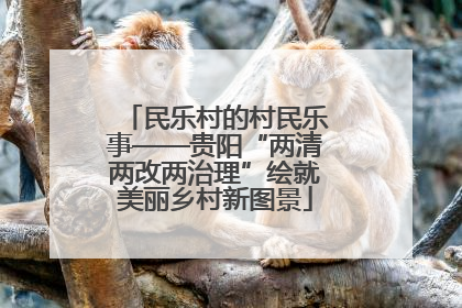 民乐村的村民乐事——贵阳“两清两改两治理”绘就美丽乡村新图景