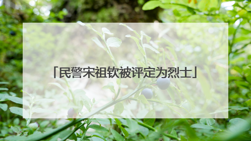 民警宋祖钦被评定为烈士