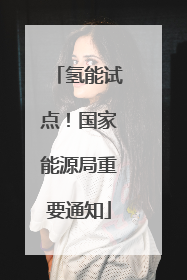 氢能试点！国家能源局重要通知