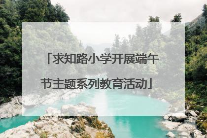 求知路小学开展端午节主题系列教育活动