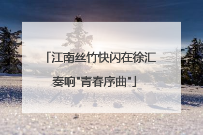 江南丝竹快闪在徐汇奏响