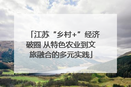 江苏“乡村+”经济破圈 从特色农业到文旅融合的多元实践