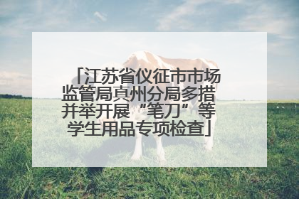 江苏省仪征市市场监管局真州分局多措并举开展“笔刀”等学生用品专项检查