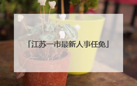 江苏一市最新人事任免