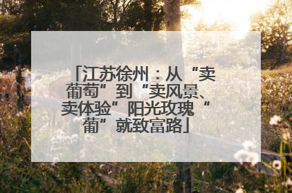 江苏徐州：从“卖葡萄”到“卖风景、卖体验”阳光玫瑰“葡”就致富路