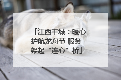 江西丰城：暖心护航龙舟节 服务架起“连心”桥