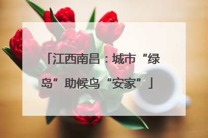 江西南昌：城市“绿岛”助候鸟“安家”