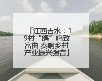 江西吉水：19村“鸽”鸣致富曲 奏响乡村产业振兴强音