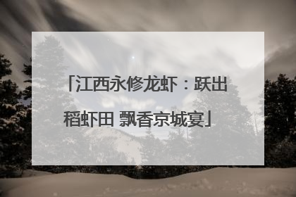 江西永修龙虾：跃出稻虾田 飘香京城宴