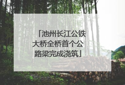 池州长江公铁大桥全桥首个公路梁完成浇筑