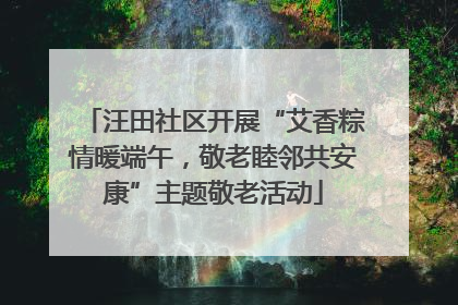 汪田社区开展“艾香粽情暖端午，敬老睦邻共安康”主题敬老活动