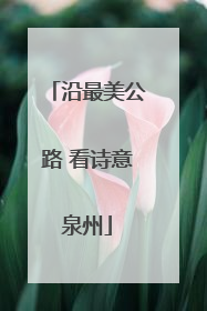 沿最美公路 看诗意泉州