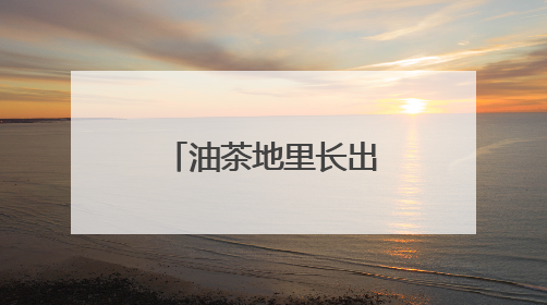 油茶地里长出网红花海 宁海高山百合“种”出花样经济