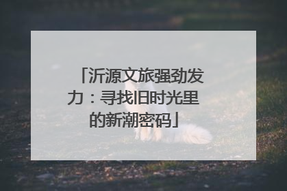 沂源文旅强劲发力：寻找旧时光里的新潮密码