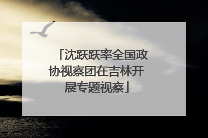 沈跃跃率全国政协视察团在吉林开展专题视察