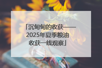 沉甸甸的收获——2025年夏季粮油收获一线观察