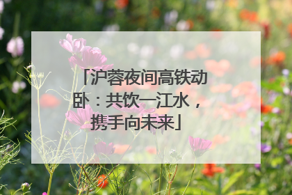 沪蓉夜间高铁动卧：共饮一江水，携手向未来