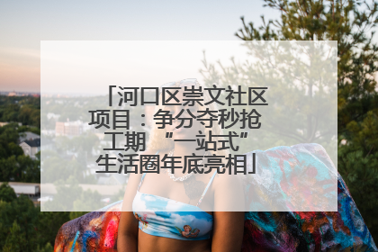 河口区崇文社区项目：争分夺秒抢工期 “一站式”生活圈年底亮相