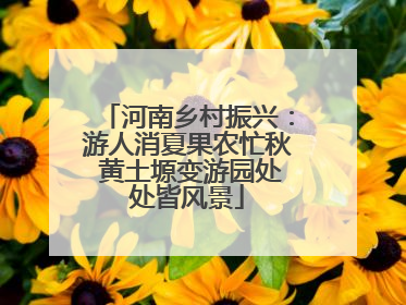河南乡村振兴：游人消夏果农忙秋 黄土塬变游园处处皆风景