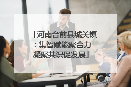 河南台前县城关镇：集智赋能聚合力 凝聚共识促发展