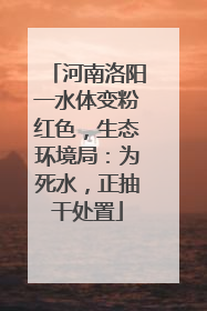 河南洛阳一水体变粉红色，生态环境局：为死水，正抽干处置