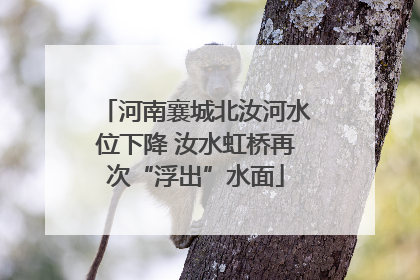 河南襄城北汝河水位下降 汝水虹桥再次“浮出”水面
