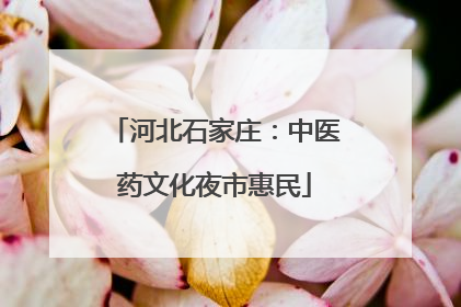 河北石家庄：中医药文化夜市惠民
