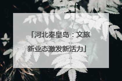 河北秦皇岛：文旅新业态激发新活力