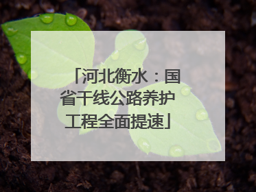 河北衡水：国省干线公路养护工程全面提速