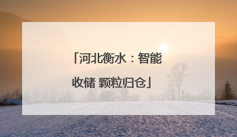 河北衡水：智能收储 颗粒归仓