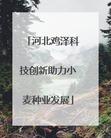 河北鸡泽科技创新助力小麦种业发展
