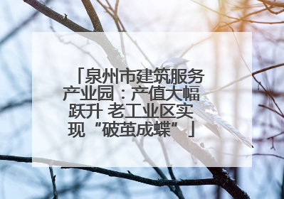泉州市建筑服务产业园：产值大幅跃升 老工业区实现“破茧成蝶”