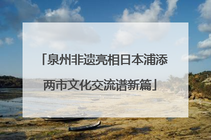 泉州非遗亮相日本浦添 两市文化交流谱新篇