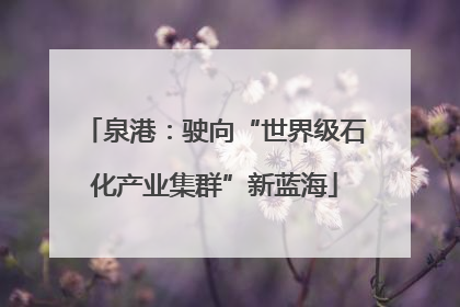 泉港：驶向“世界级石化产业集群”新蓝海