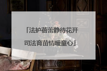 法护蓓蕾静待花开 司法育苗情暖童心