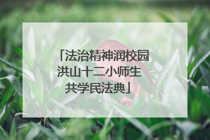 法治精神润校园 洪山十二小师生共学民法典