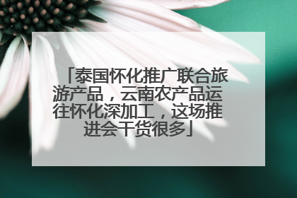 泰国怀化推广联合旅游产品，云南农产品运往怀化深加工，这场推进会干货很多