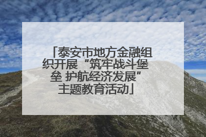 泰安市地方金融组织开展“筑牢战斗堡垒 护航经济发展”主题教育活动