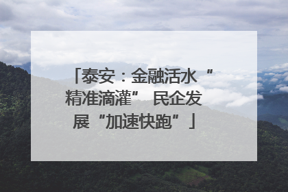 泰安：金融活水“精准滴灌” 民企发展“加速快跑”
