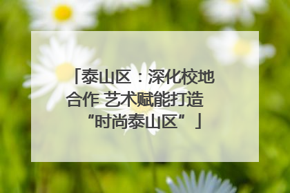 泰山区：深化校地合作 艺术赋能打造“时尚泰山区”