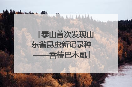 泰山首次发现山东省昆虫新记录种——香椿巴木虱