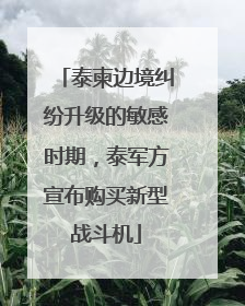 泰柬边境纠纷升级的敏感时期，泰军方宣布购买新型战斗机
