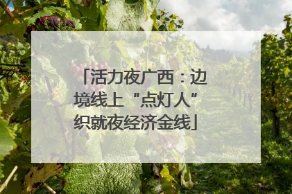活力夜广西：边境线上“点灯人”织就夜经济金线
