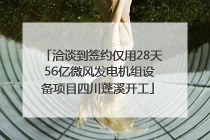 洽谈到签约仅用28天 56亿微风发电机组设备项目四川蓬溪开工