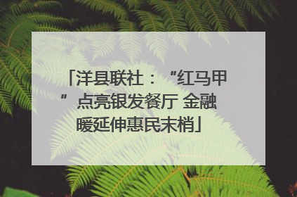 洋县联社：“红马甲”点亮银发餐厅 金融暖延伸惠民末梢