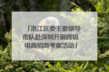 洛江区委主要领导带队赴深圳开展跨境电商招商考察活动