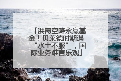 洪霞空降永赢基金！贝莱德时期遇“水土不服”，国际业务难言乐观