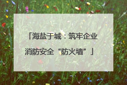 海盐于城：筑牢企业消防安全“防火墙”